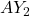 A Y_2