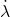 \dot{\lambda}