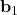 \textbf{b}_1