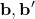 \textbf{b}, \textbf{b}'